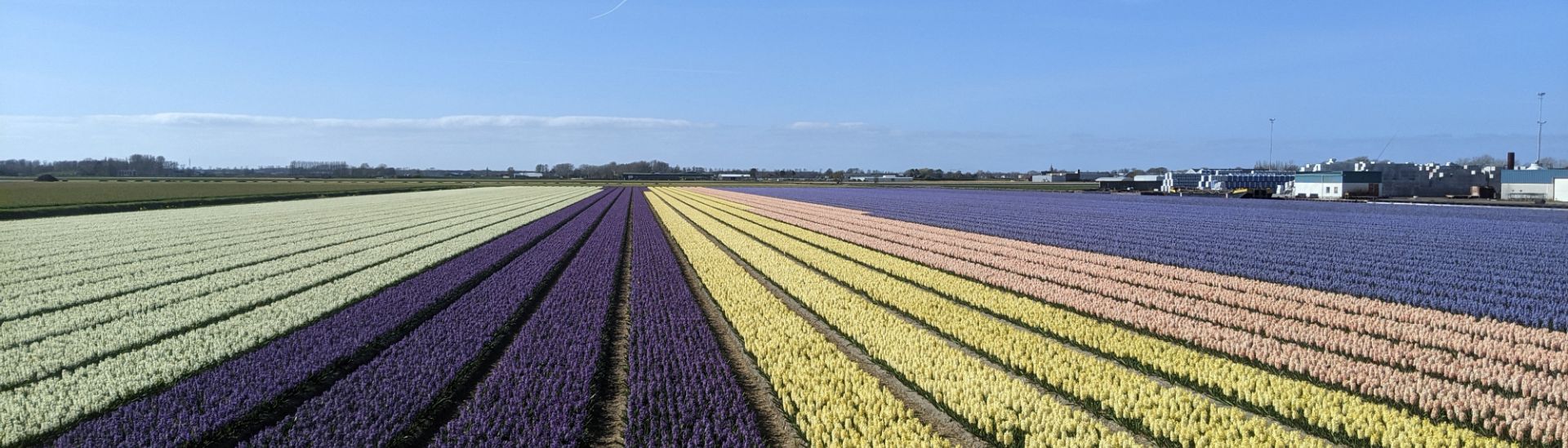 Wilkommen bei L. Rotteveel & Zonen Export