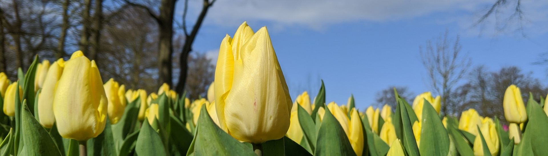 Unser Garten in 